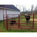 Corral Gates Economy Horse Horse Panels Chain Connecteurs